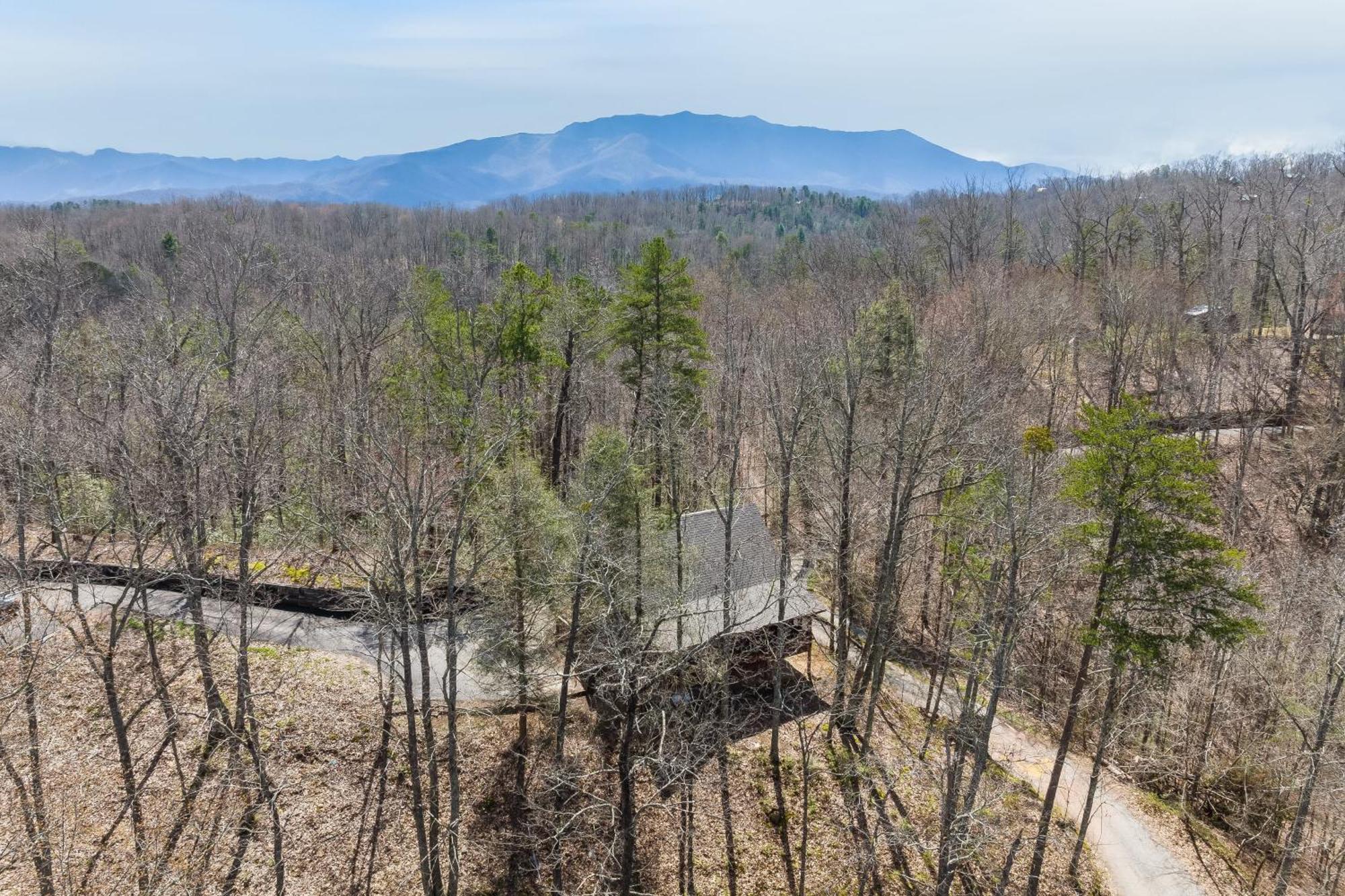 Dudley II By Avantstay Comfortable Cabin W Hot Tub Views Pigeon Forge Ngoại thất bức ảnh